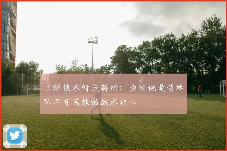 三球技术特点解析：为何他是黄蜂队不可或缺的战术核心