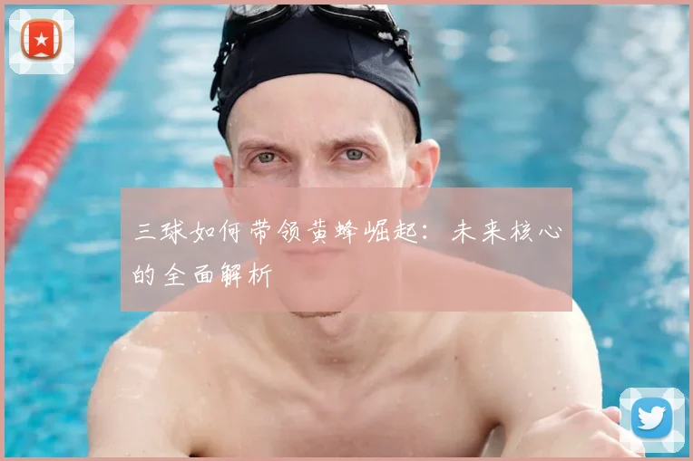 三球如何带领黄蜂崛起：未来核心的全面解析